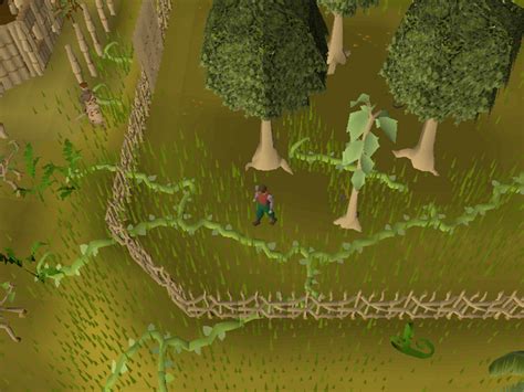 armadylean or bandosian guard|Treasure Trails/Guide/Coordinates/Elite .